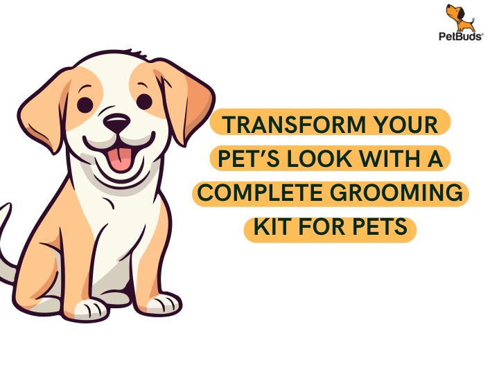 transform your pet s look with a complete