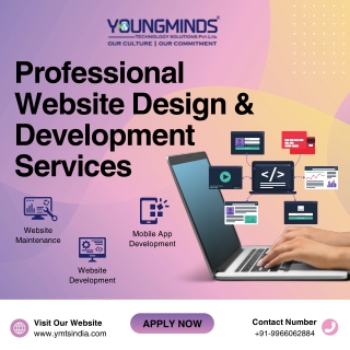 Professional Website Design & Development Services