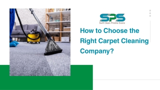 How to Choose the Right Carpet Cleaning Company?
