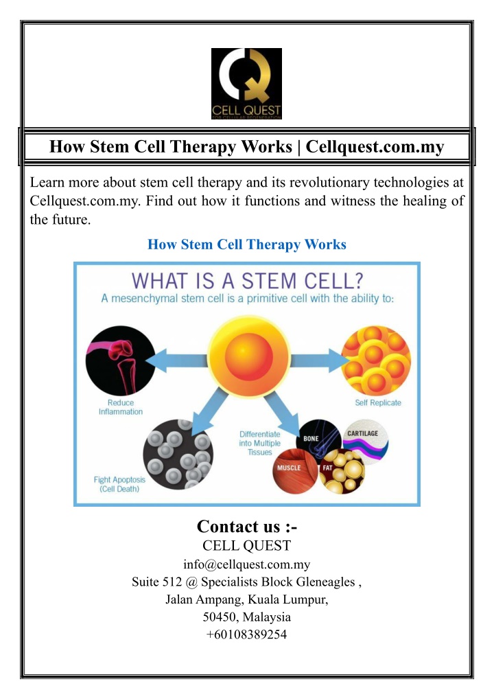 how stem cell therapy works cellquest com my