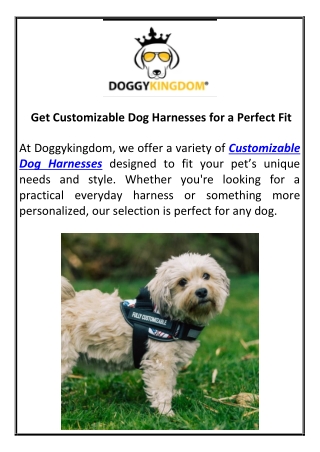 Get Customizable Dog Harnesses for a Perfect Fit