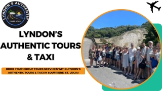 lyndon s authentic tours taxi taxi