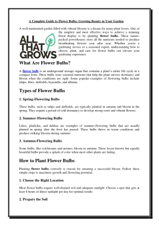 A Complete Guide to Flower Bulbs Growing Beauty in Your Garden