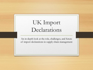 UK Import Declarations