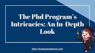 The Phd Program’s Intricacies An In-Depth Look