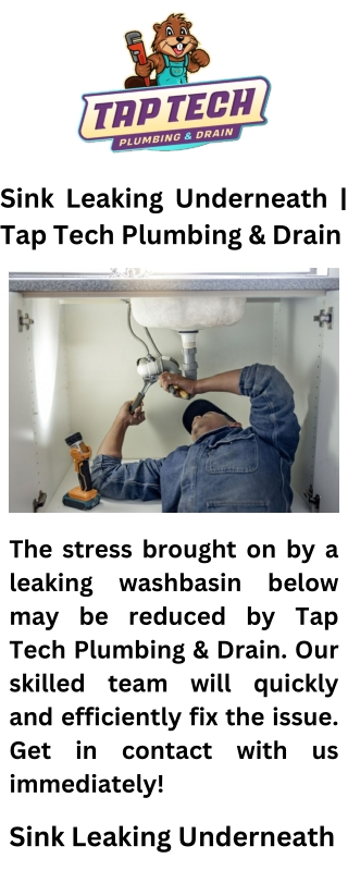 Sink Leaking Underneath  Tap Tech Plumbing & Drain
