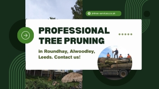 Professional tree pruning in Roundhay, Alwoodley, Leeds. Contact us