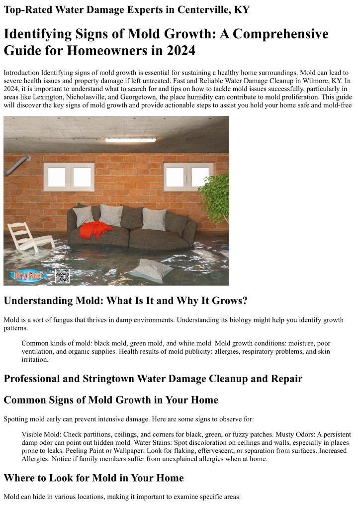 top rated water damage experts in centerville ky