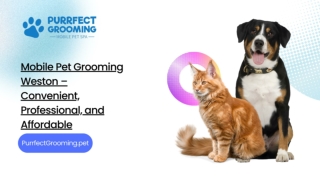 Mobile Pet Grooming Weston – Convenient, Professional, and Affordable