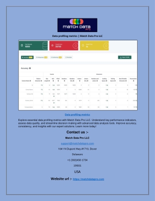 Data profiling metrics | Match Data Pro LLC