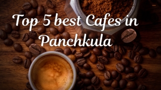 Top 5 best Cafes in Panchkula