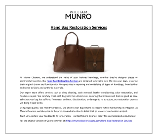 Hand Bag Restoration Services