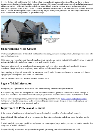 Mold Removal Services for Fort Collins Office Spaces