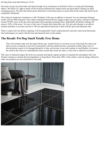 Orange Area Animal Discolor And Odor Removal Carpeting Cleansing Orange Region C