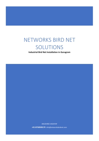 Industrial Bird Net Installation in Gurugram by Experts!