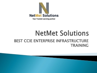 netmet solutions