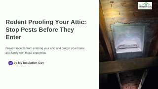 Rodent Proofing Your Attic: Stop Pests Before They Enter