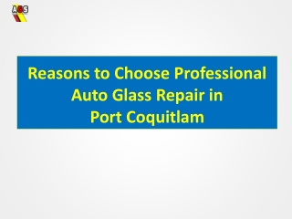 Reasons to Choose Professional Auto Glass Repair in Port Coquitlam