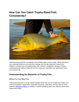 How Can You Catch Trophy-Sized Fish Consistently