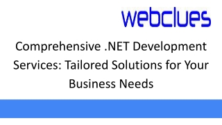 comprehensive net development services tailored