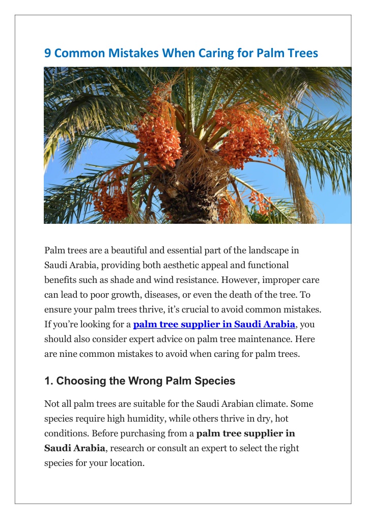 9 common mistakes when caring for palm trees