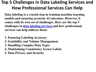 Top 5 Challenges in Data Labeling Services and How Professional Services Can Help