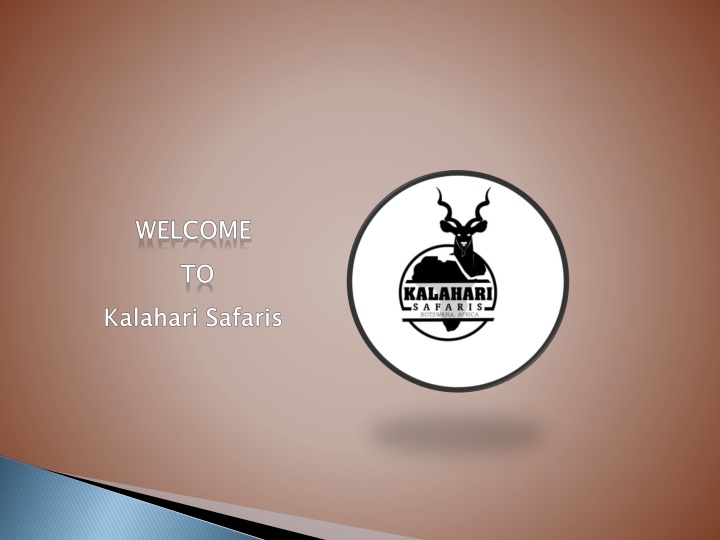 welcome to kalahari safaris