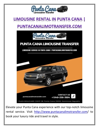 Executive car service in Punta Cana | puntacanalimotransfer.com