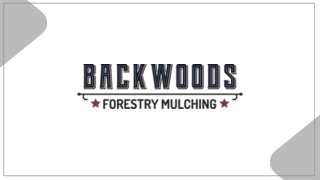 Top Road Building And Forestry Mulching Services in Sandpoint, Coeur D'Alene, Hayden, Spirit Lake, and Bonners Ferry, ID