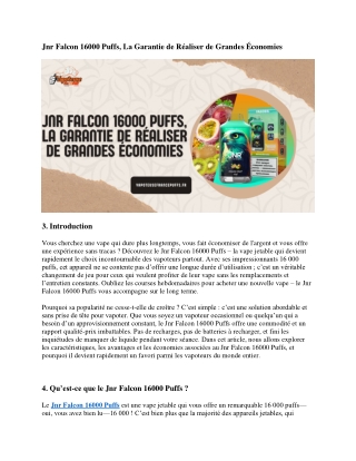 Jnr Falcon 16000 Puffs, La Garantie de Réaliser de Grandes Économies