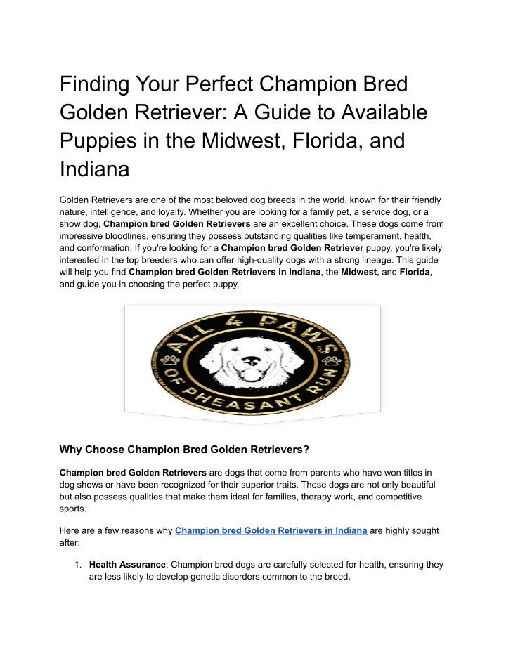 finding your perfect champion bred golden