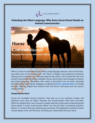 Discover the Power of a Horse Communicator