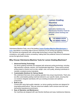 vishvkarma machine tools one of the leading lemon