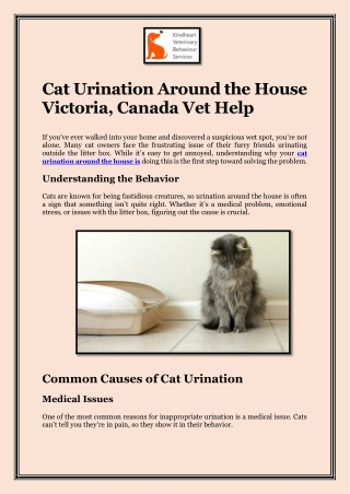 Cat Urination Around the House  Victoria, Canada Vet Help
