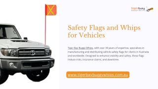 Safety Flags and Whips for Vehicles
