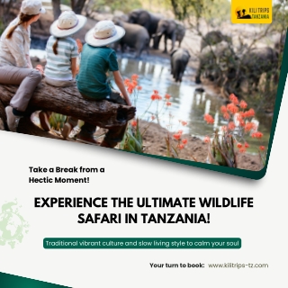 kilitrips pdf Experience the Ultimate Wildlife Safari in Tanzania!