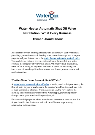 Water Heater Automatic Shut Off Valve Installation  What Every Business Owner Should Know