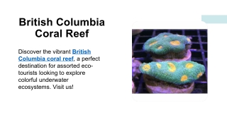 British Columbia Coral Reef