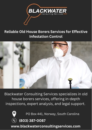 Reliable Old House Borers Services for Effective Infestation Control (1)