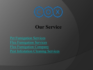 Trust Cliffy Cox for Effective Pet Fumigation Services