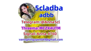 buy 5cladba oldr 5cl-adb-a drug 5cladb supplier adbb 5fadb