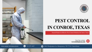 Professional Pest Control Services in Conroe, TX - Bed Bug Infestation Treatment