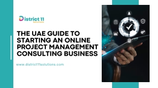 The UAE Guide to Starting an Online Project Management Consulting Business