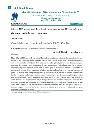 Micro RNA genes and their likely influence in rice (Oryza sativa L.) dynamic