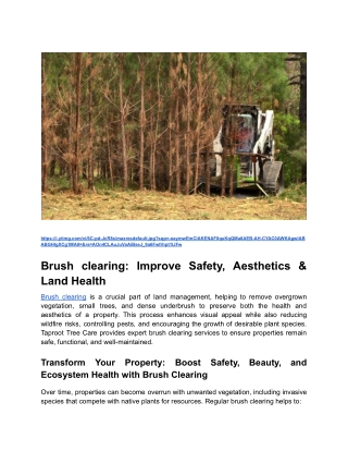 Brush clearing_ Improve Safety, Aesthetics & Land Health _ Blog Post Content 1 _ Month 2