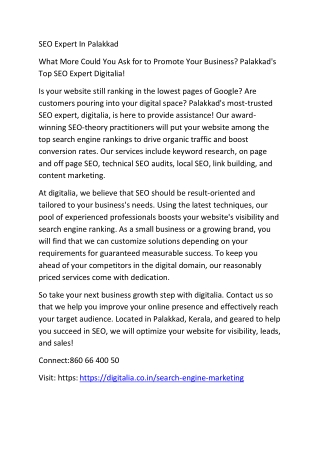 seo expert in palakkad