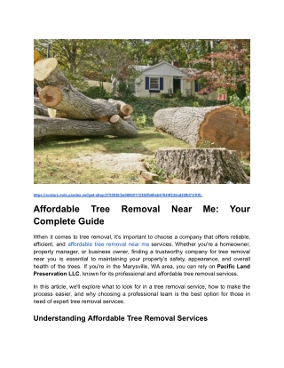 Affordable Tree Removal Near Me_ Your Complete Guide _ Blog Post Content 2 _ Month 2