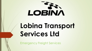 Fast & Reliable European Transport – Lobina Transport