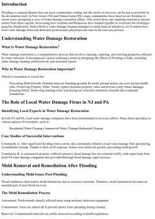 Restoration Success Stories: How NJ and PA Communities Recovered from Severe Flo