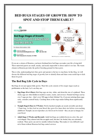 Understanding Bed Bugs Life Span and Biology